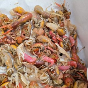 Sand Shrimp Bait - $8/dozen
