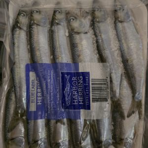 Harbor Herring Blue anchovies